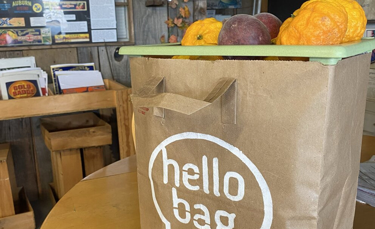 5 Ideas for What to Do With All Those Extra Grocery Bags