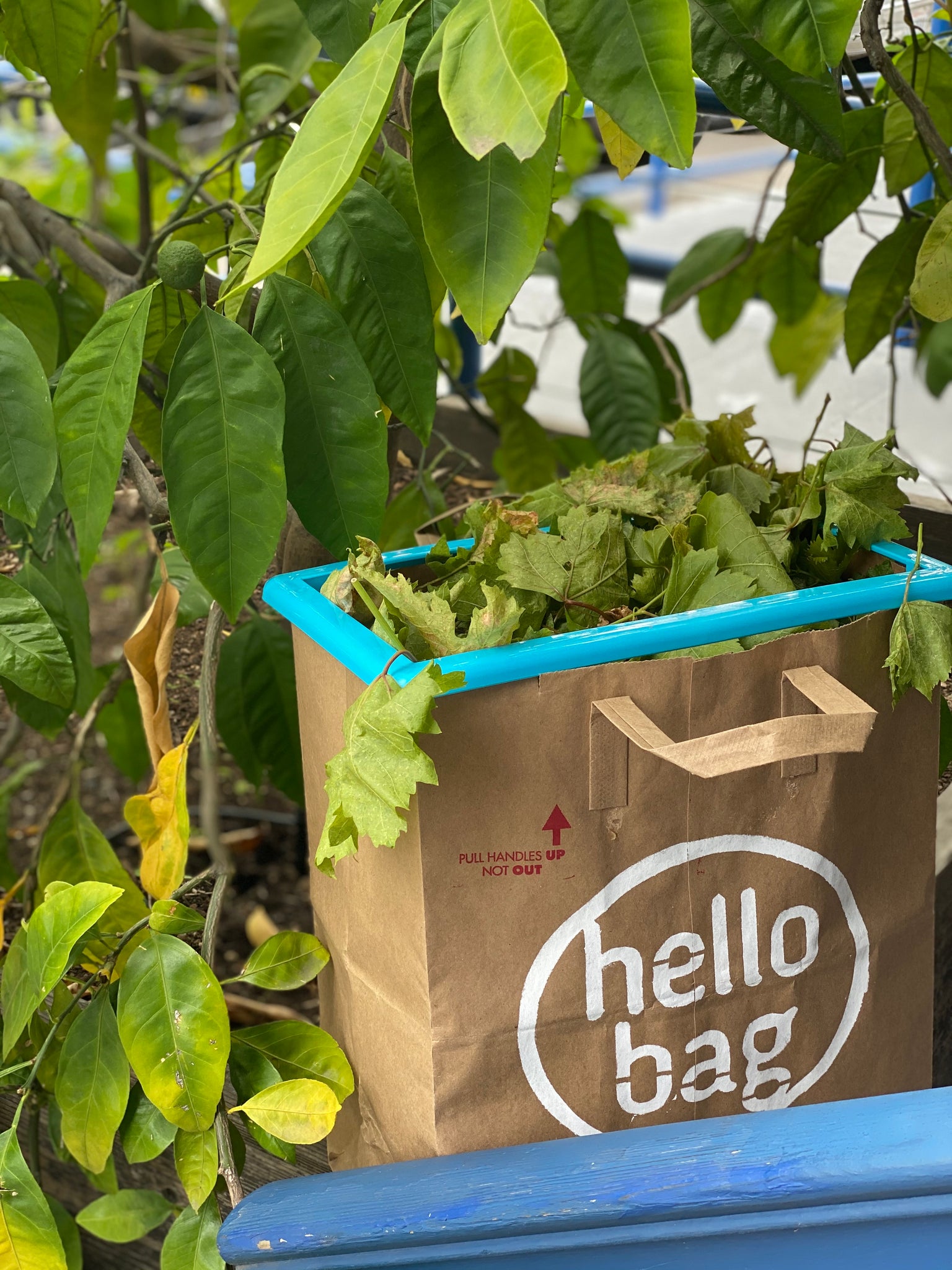 How to Compost Brown Paper Bags