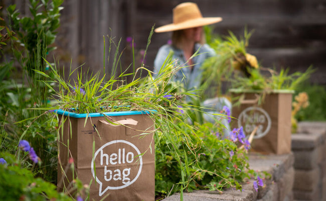 Our guide to easy composting using paper bags!