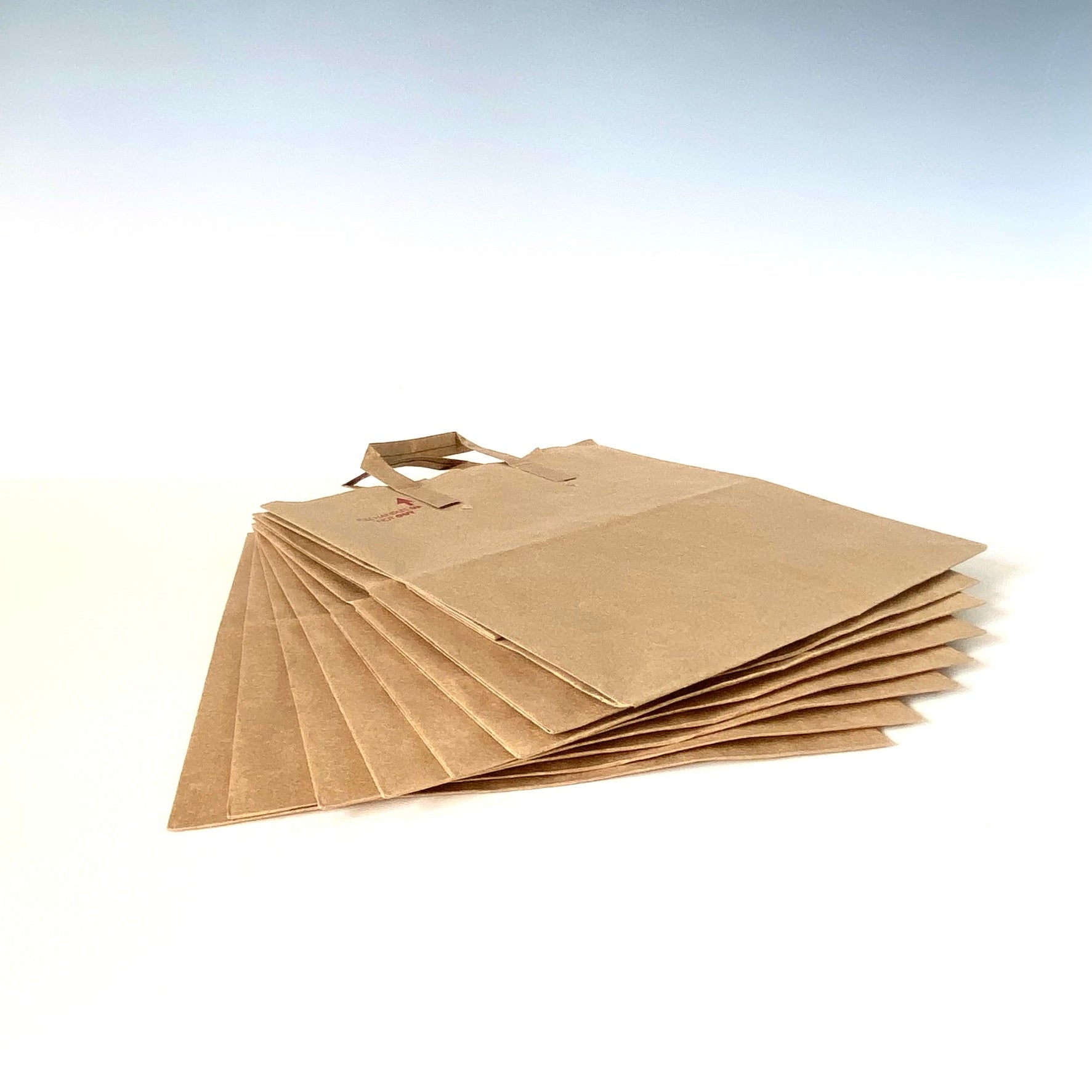 Brown Paper Bags (12 pack)